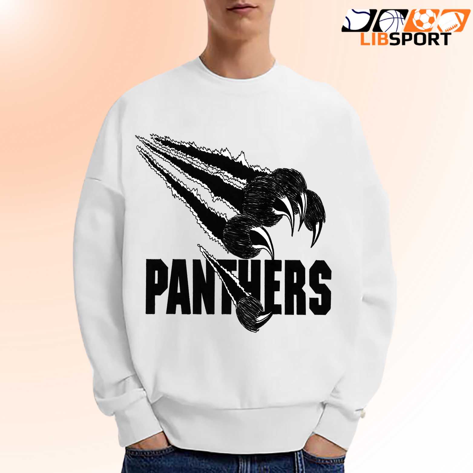 Carolina Panthers Streetwear Tee, Unisex Shirt, Nfl Fan T Shirt